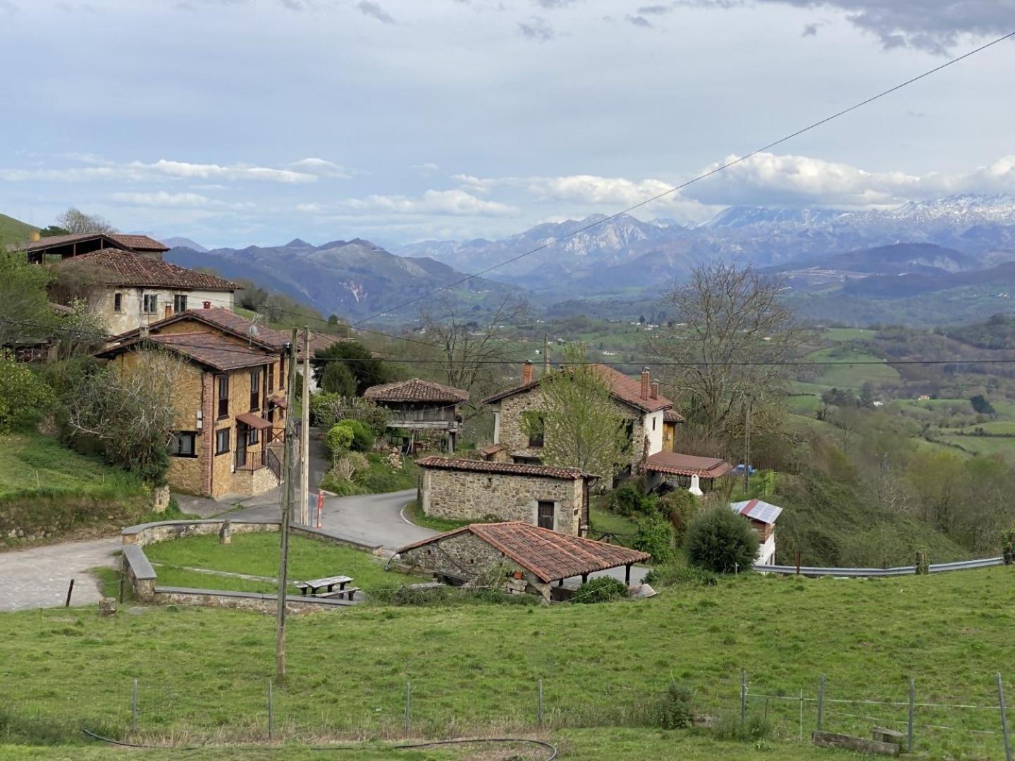 La Macona